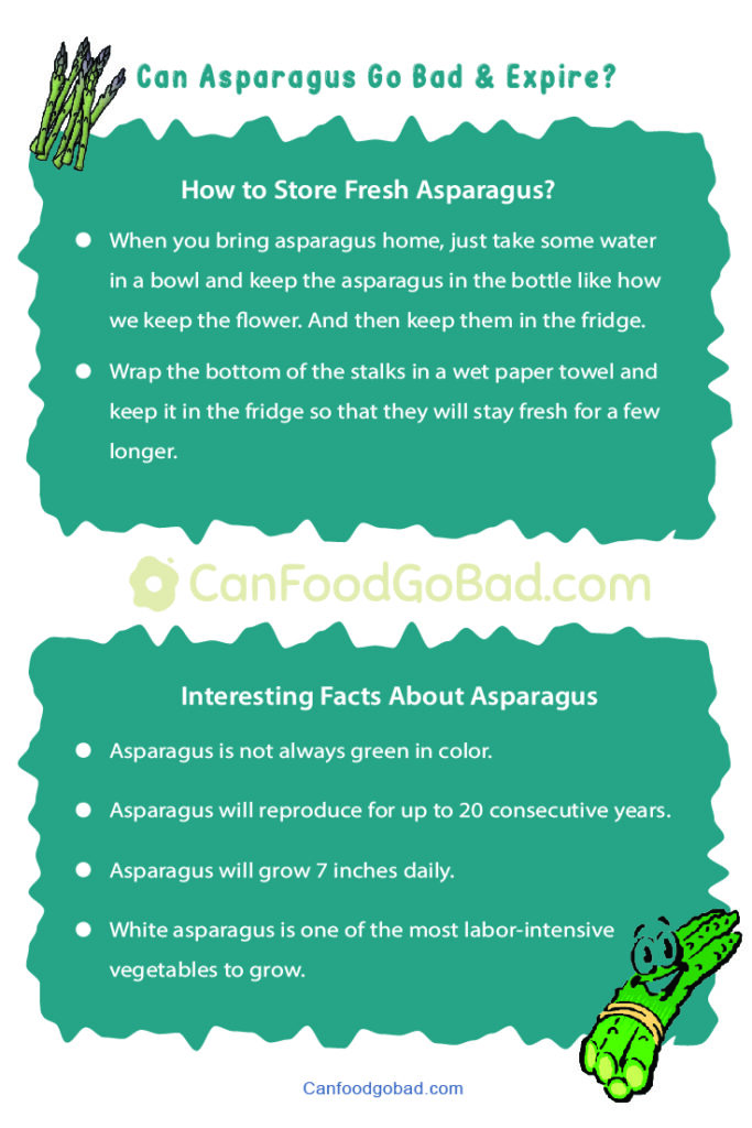 Can Asparagus Go Bad? How to Tell If Asparagus Is Bad? Can Food Go Bad