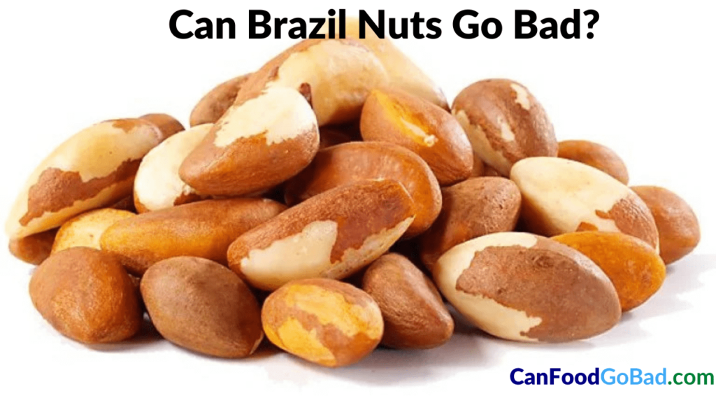 Can Brazil Nuts Go Bad How Long Do Brazil Nuts Last? Can Food Go Bad