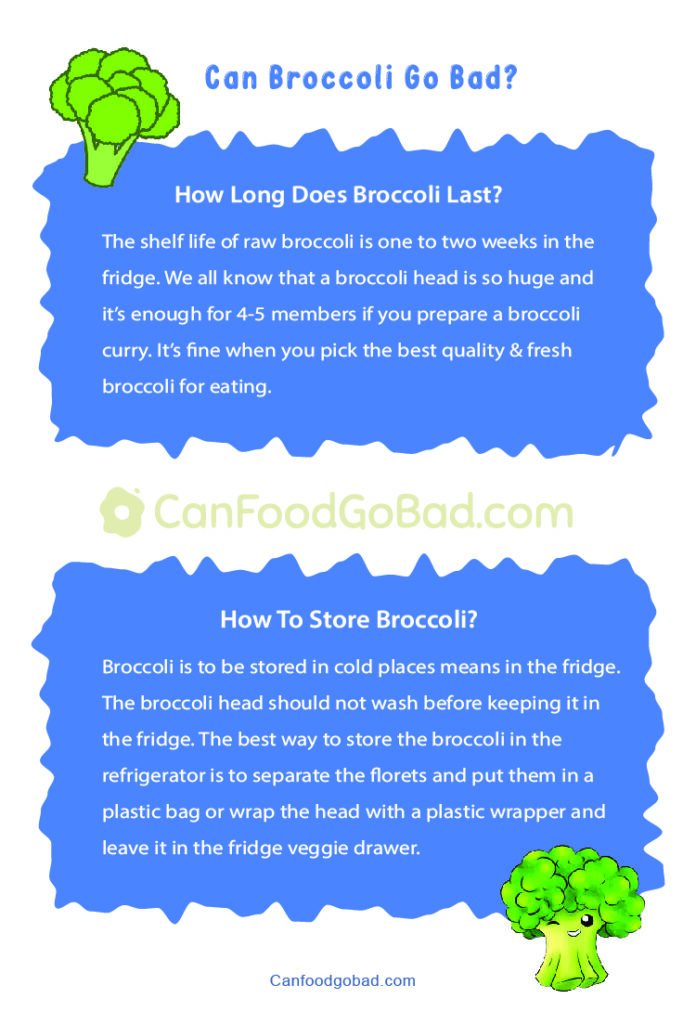 Can Broccoli Go Bad? Here’s the Answer 6 Ways to Say Broccoli Gone Bad or Not Can Food Go Bad