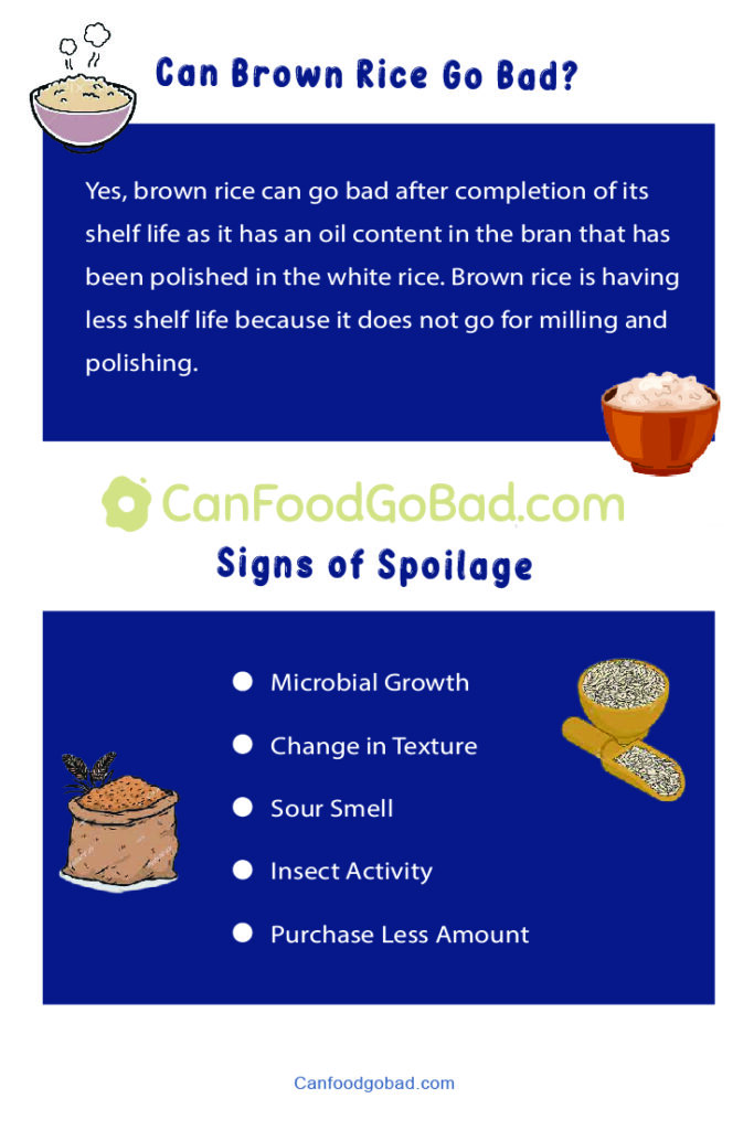 Can Brown Rice Go Bad? How to Properly Store Brown Rice for Maximum