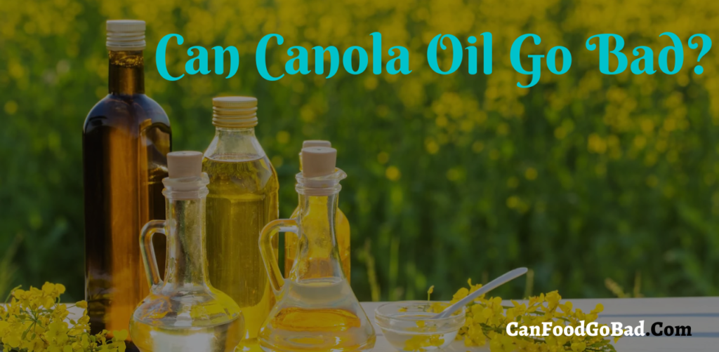Can Canola Oil Go Bad? Signs to Know Canola Oil Gone Bad How Long Does Canola Oil Last