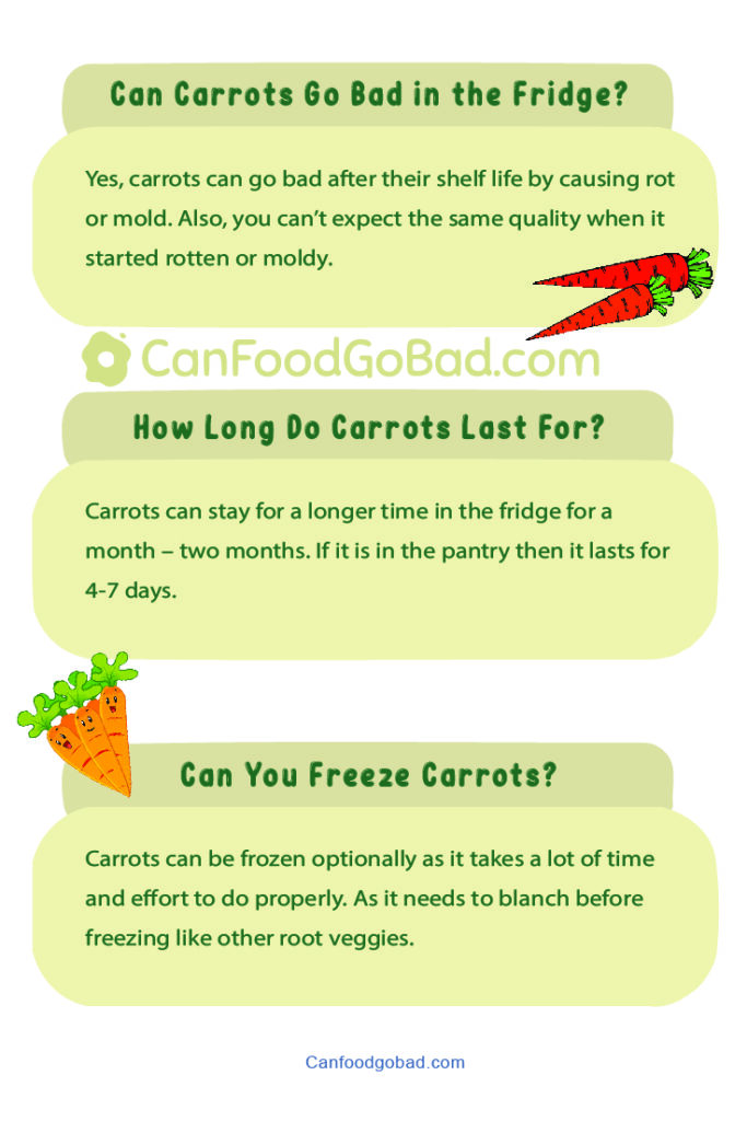 Can Carrots Go Bad? How to Store Carrots to Keep Them Fresh? Can