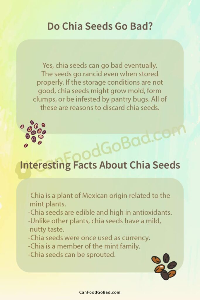 Top 4 Signs That Chia Seeds Have Gone Bad Can Food