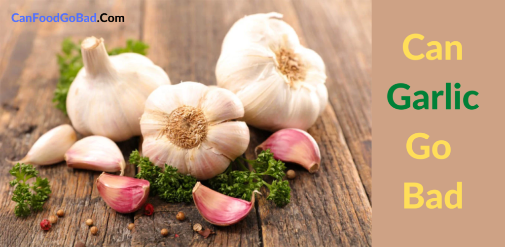 Can Garlic Go Bad? How to Store Garlic So It Stays Fresh? Can Food Go Bad