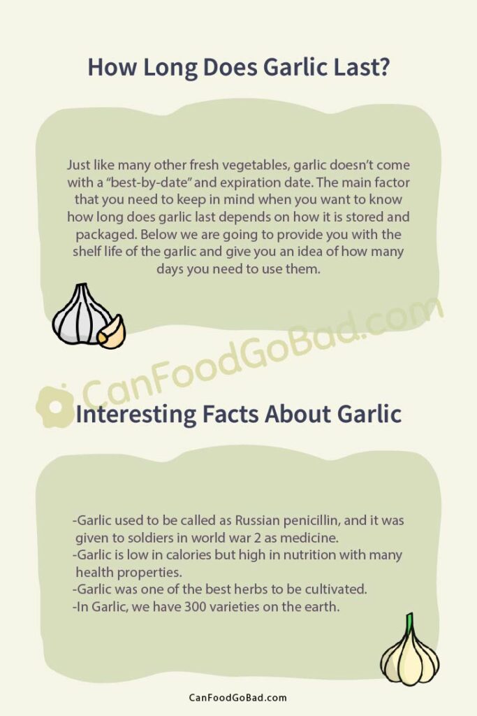 Can Garlic Go Bad? How to Store Garlic So It Stays Fresh