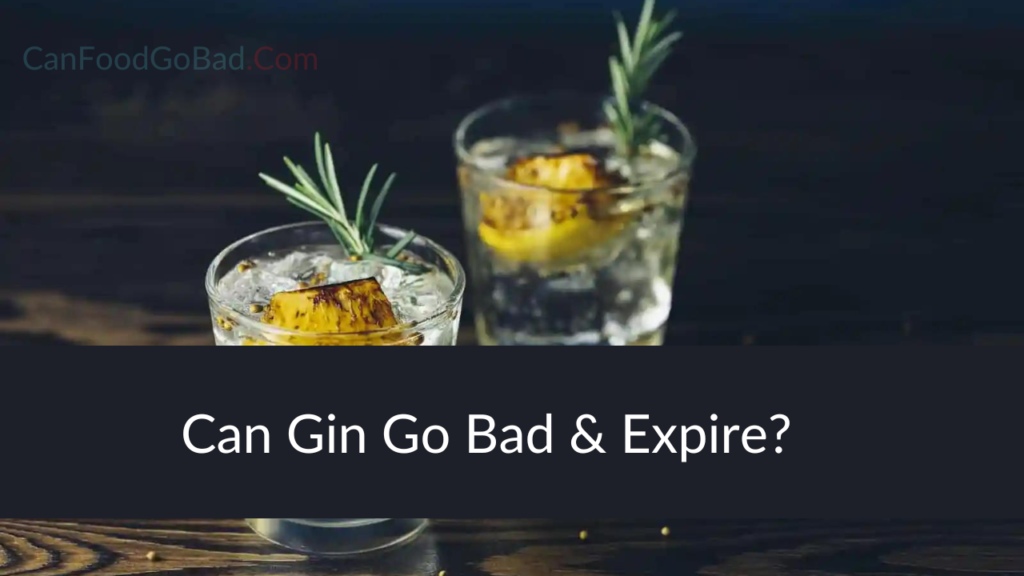 Does Gin Go Bad? Can Gin Spoil? Unveiling Its Shelf Life Can Food