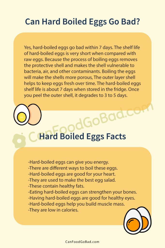 Can Hard Boiled Eggs Go Bad? How Long Are HardBoiled Eggs Good For