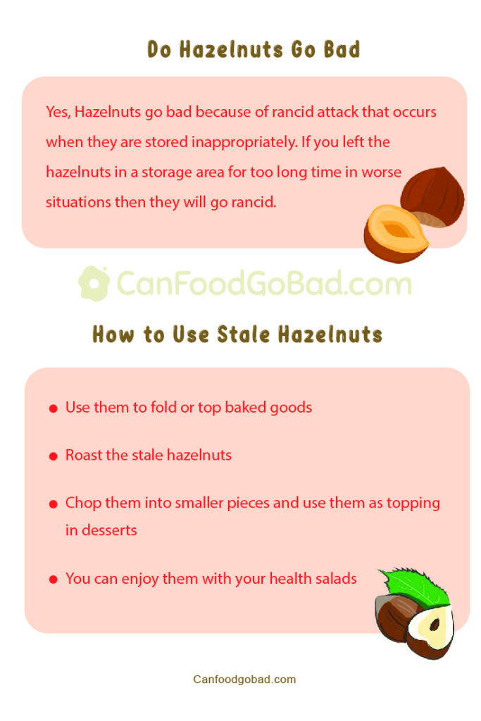 Can Hazelnuts Go Bad? Everything You Need To Know About Hazelnuts
