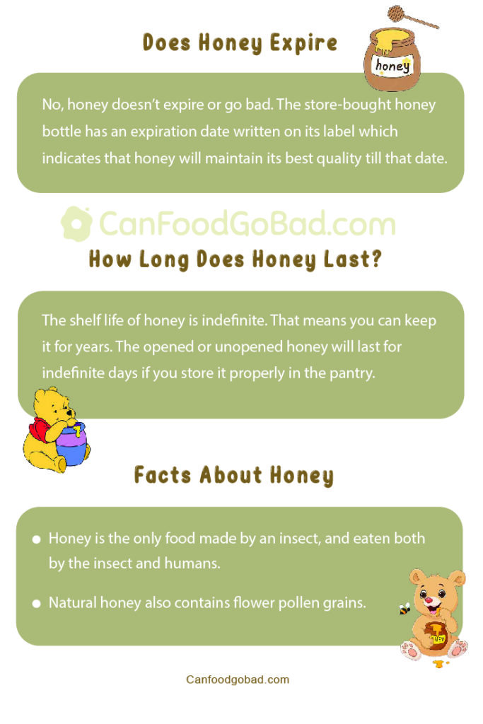 Can Honey Go Bad or Expire? Know What is the Best Way To Store Honey