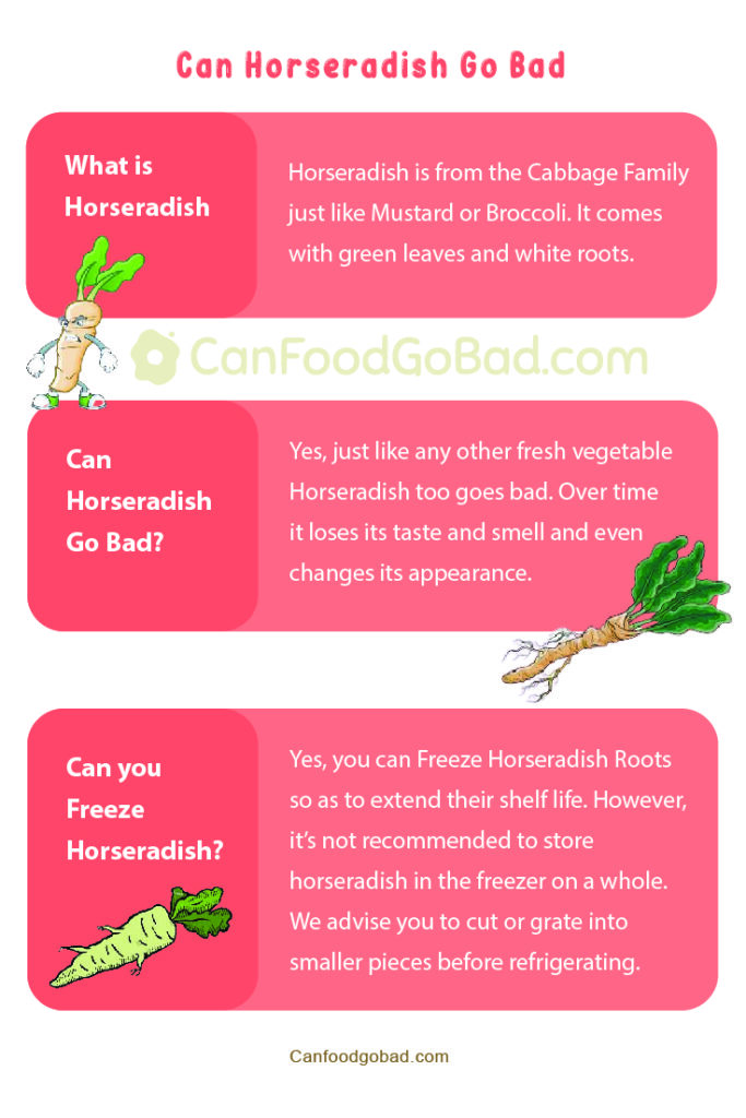 Can Horseradish Go Bad? What’s Its Shelf Life? What Are the Risks