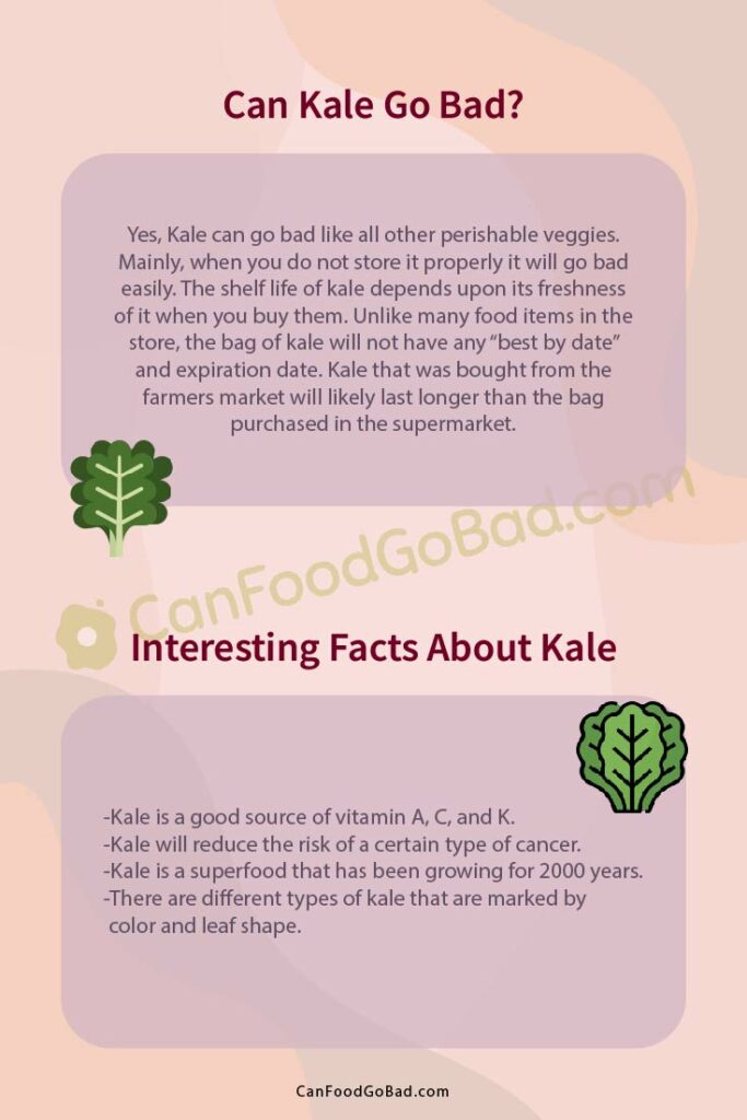 Can Kale Go Bad? How Long Does Kale Last and How to Tell If It’s Gone Bad? Can Food Go Bad