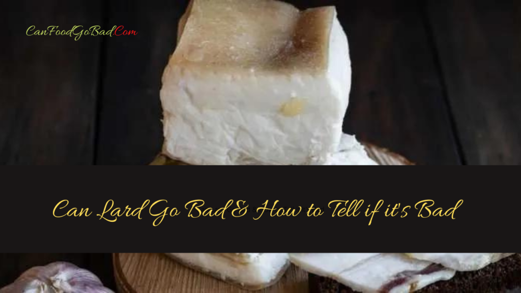When Does Lard Go Bad? & How to Tell if it’s Bad