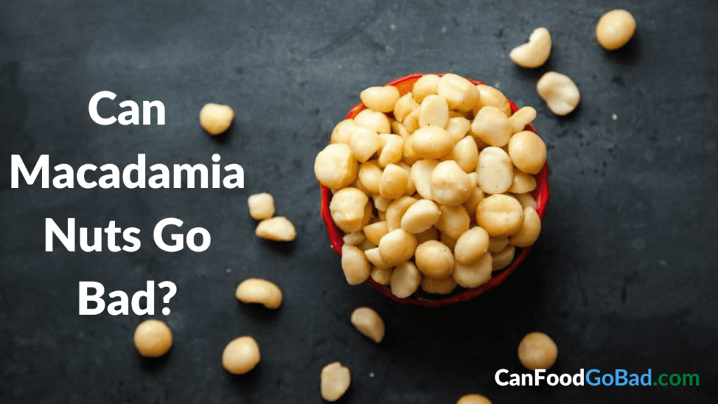 Can Macadamia Nuts Go Bad? Yes, Here’s How To Store Macadamia Nuts To