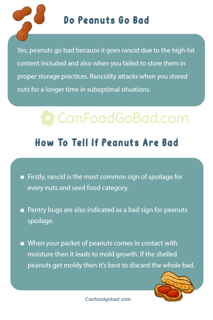 Understand the Expiry of Peanuts Can They Go Bad? Can Food Go Bad