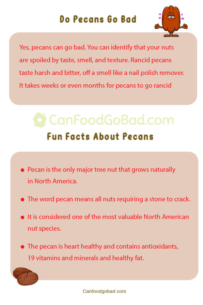 Can Pecans Go Bad In The Fridge? How to Identify When Pecans Go Bad
