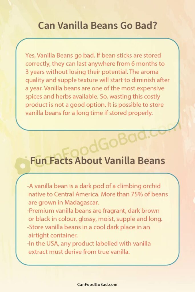 Can Vanilla Beans Go Bad? How to Store Vanilla Bean Pods in Alcohol