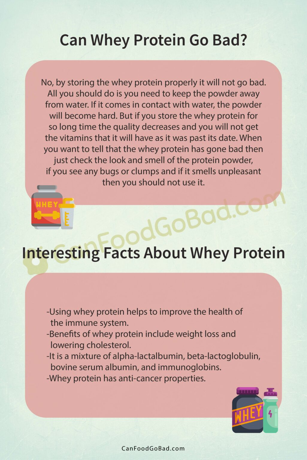 How Long Protein Powder Last After Opened Expert Tips and Storage Guidelines Can Food Go Bad