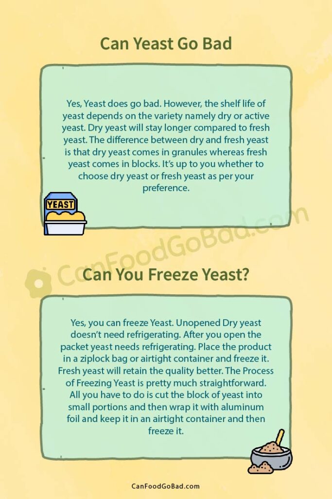 From Rise to Ruin Explore the Shelf Life of Yeast Can It Spoil
