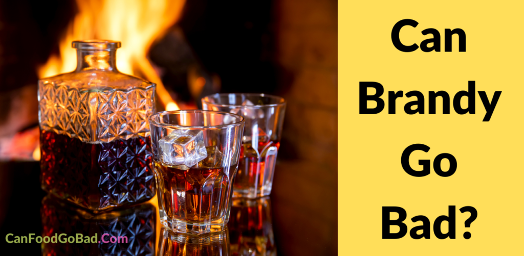 Can Brandy Go Bad? How to Prevent Brandy from Going Bad? Can Food