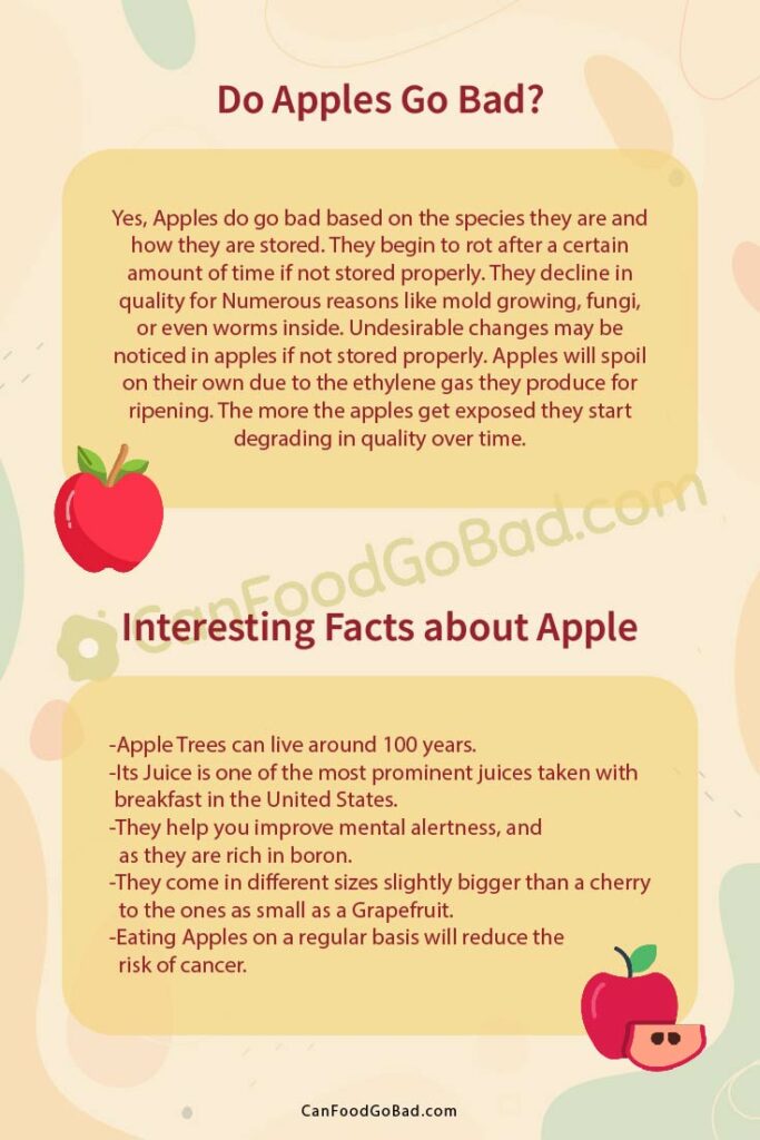 How Long Do Apples Last in The Fridge? Expert tips For Keeping Them