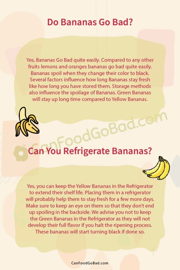 How Long Do Bananas Last? From Ripeness to Rot Understanding the