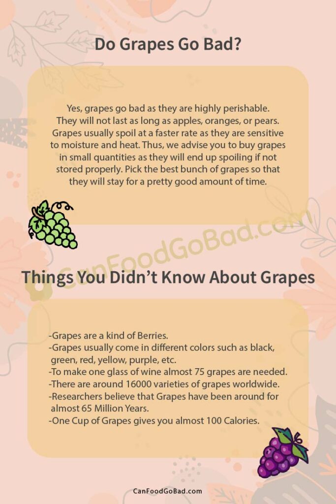 How Long Do Grapes Last Tips On How To Store Grapes to Keep Them
