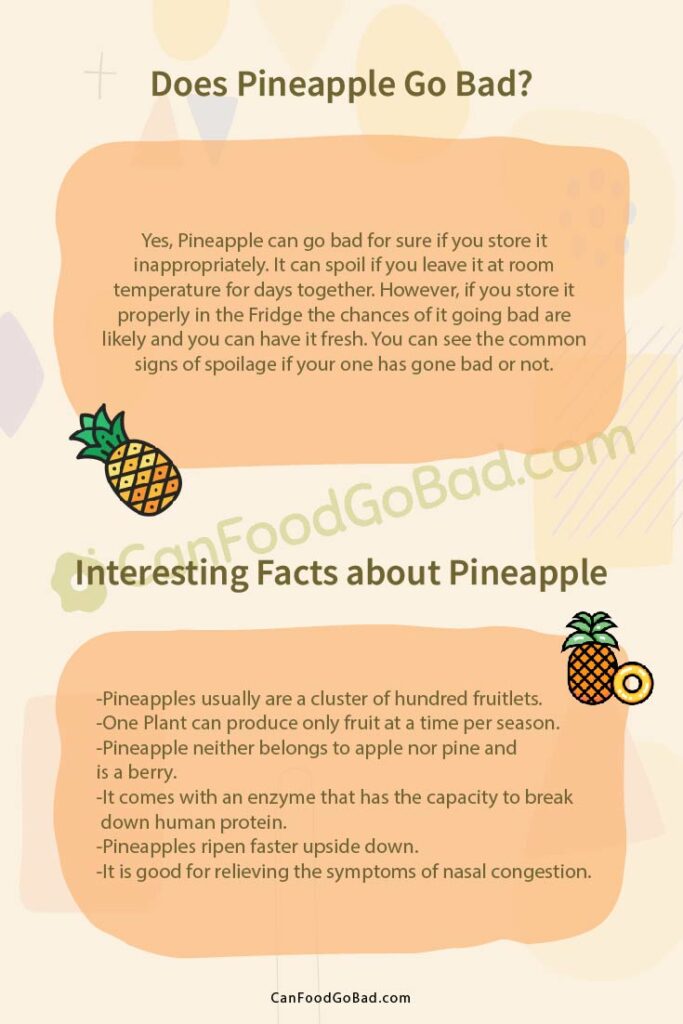 How Long Do Pineapples Last How To Store Pineapples To Stay Fresh? Can Food Go Bad