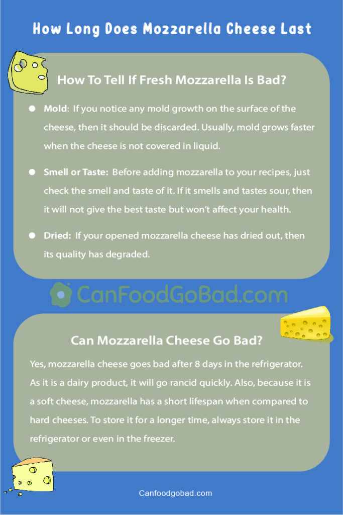 How Long Does Mozzarella Cheese? How To Freeze the Cheese Like a Pro