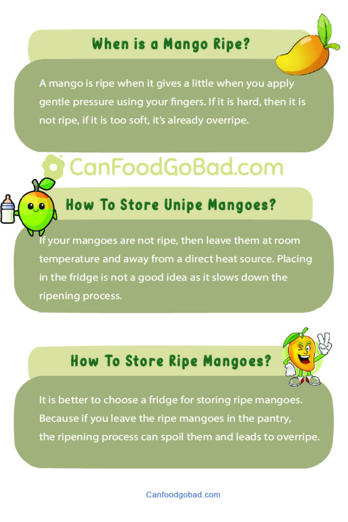 How To Store Mangoes Without Fridge? Expert Tips to Maintain Shelf