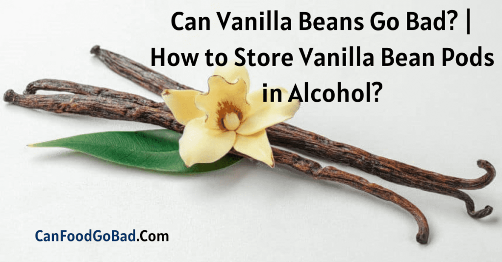 Can Vanilla Beans Go Bad? How to Store Vanilla Bean Pods in Alcohol