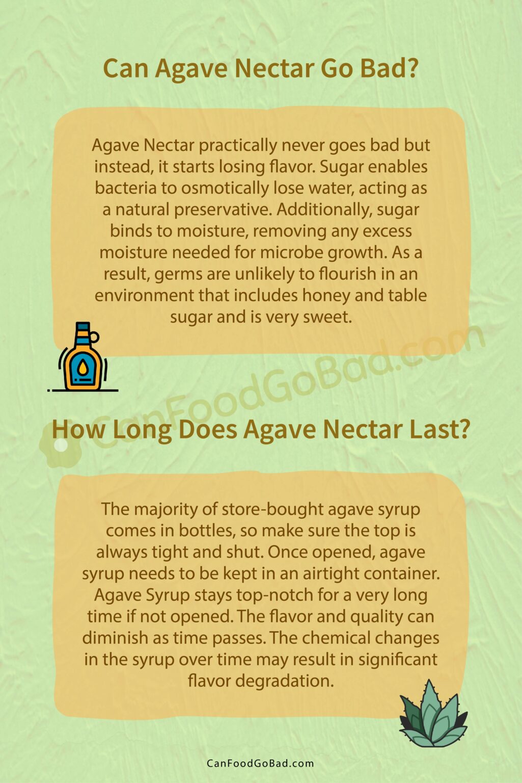 Does Agave Nectar Go Bad
