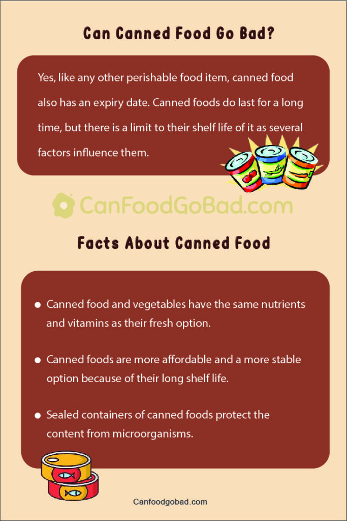 From Pantry to Plate Can Canned Food Go Bad? Explore the Shelf Life