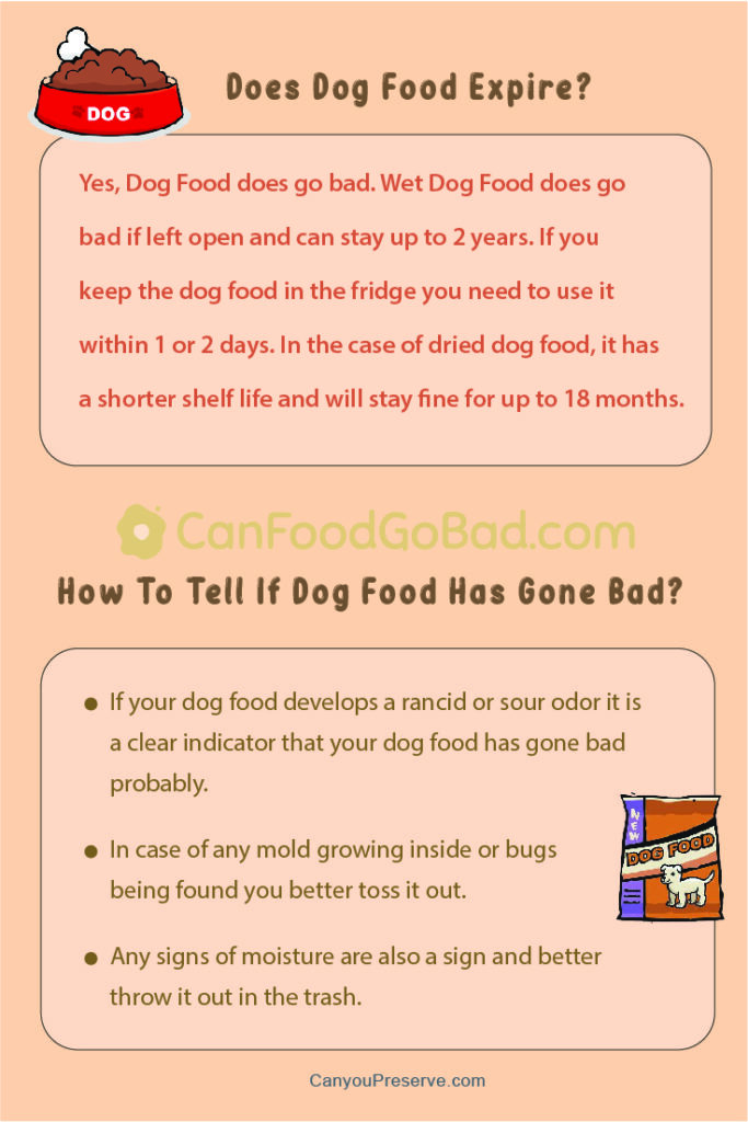Can Dog Food Go Bad? Exploring How long does dog food last & Tips To