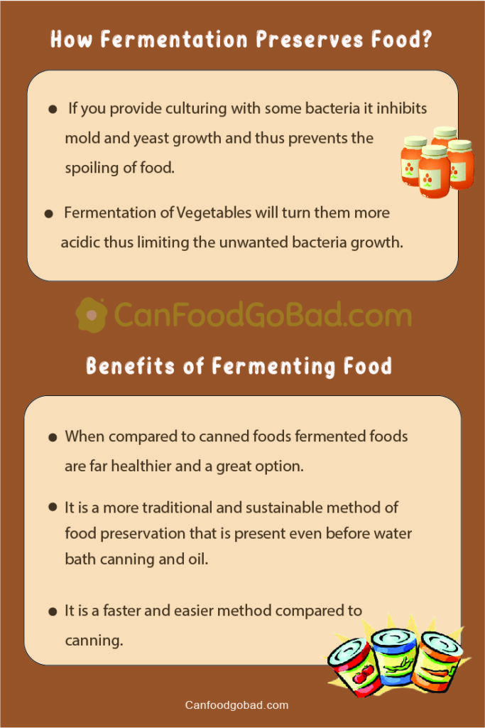 Can Fermented Food Go Bad? Explore What Is The Shelf Life of