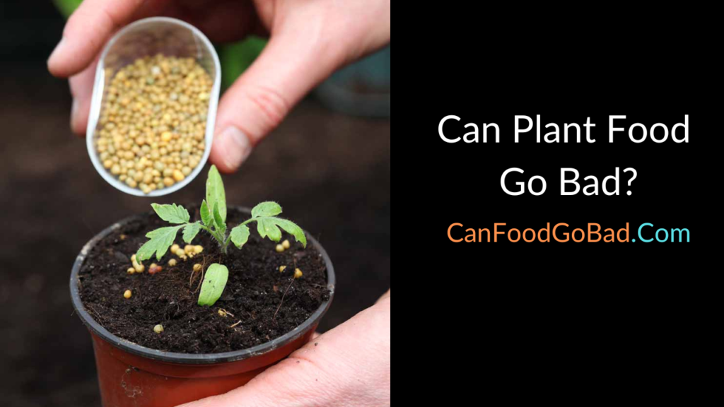 Can Plant Food Go Bad & How Long Does It Last Can Food Go Bad