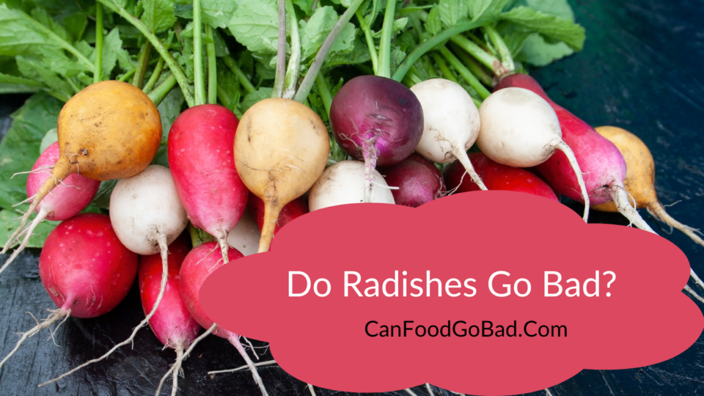 Do Radishes Go Bad How To Store Radishes For Maximum Freshness? Can