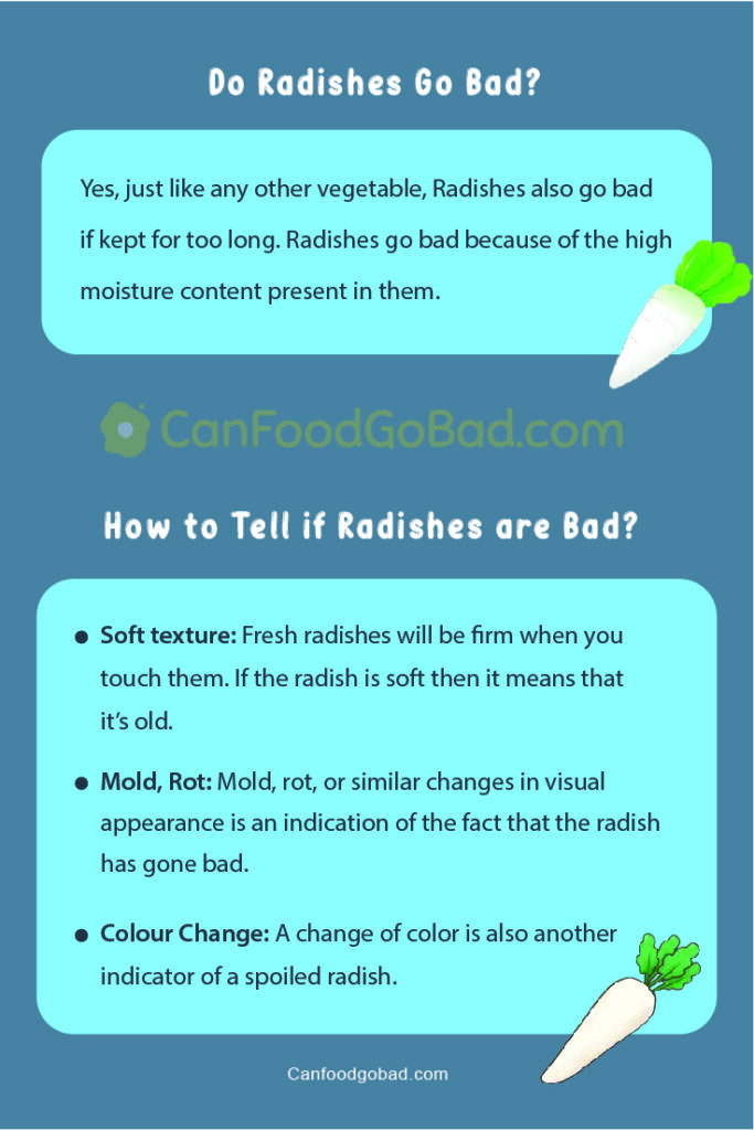Do Radishes Go Bad How To Store Radishes For Maximum Freshness? Can
