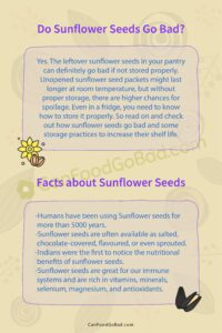 Do Sunflower Seeds Go Bad? – Expiry Dates, Spoilage, and Storage Tips