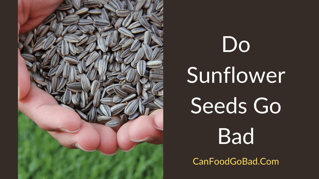 Do Sunflower Seeds Go Bad Everything You Need To Know About   Do Sunflower Seeds Go Bad 