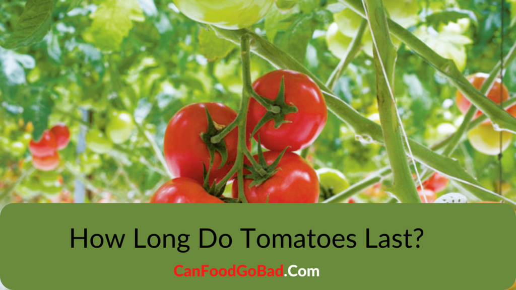 How Long Do Tomatoes Last? Tantalizing Tomatoes Unveiling Their