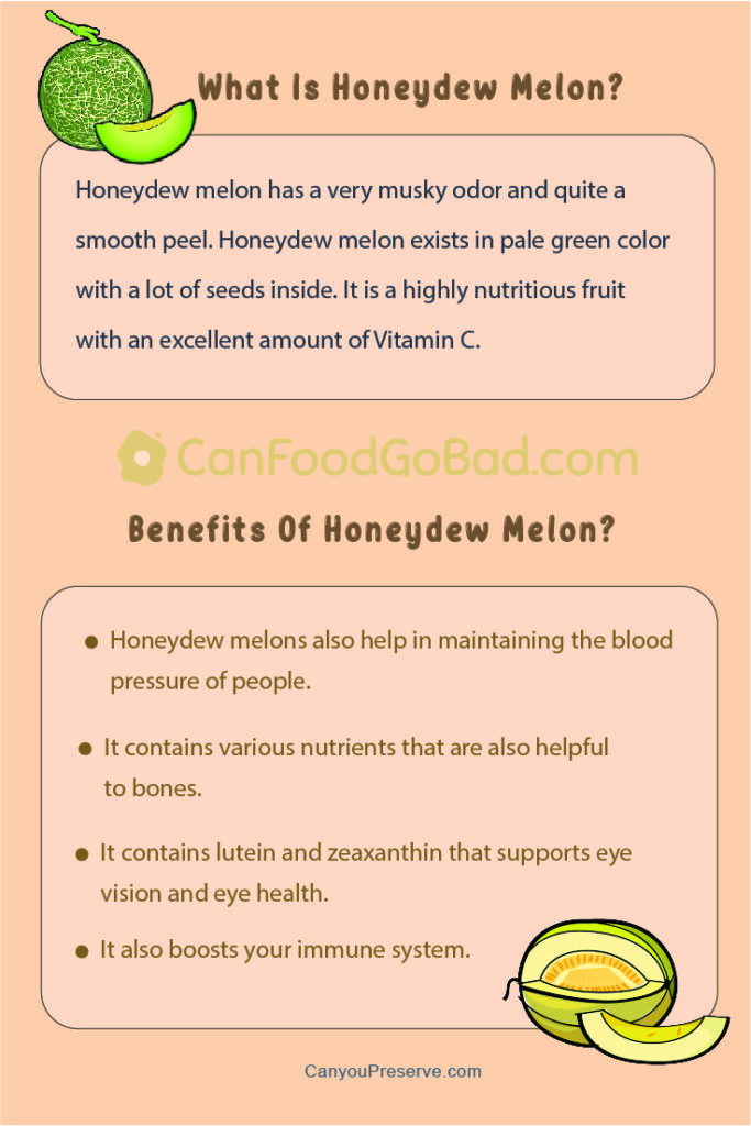 How Long Does Honeydew Melon Last? How To Tell If Honeydew Is Fresh