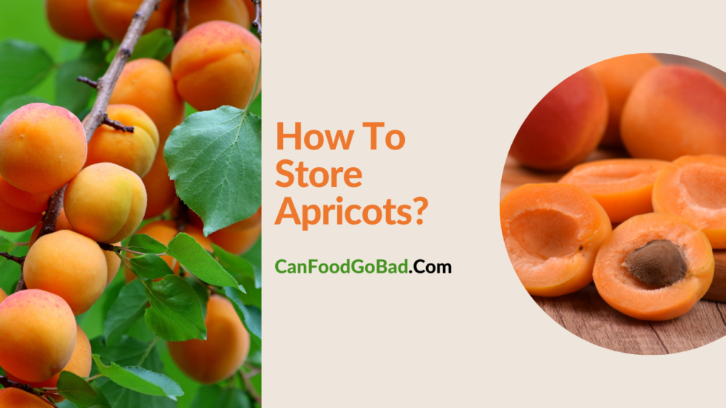 How To Store Apricots So They Don’t Bruise Can Food Go Bad Can Food