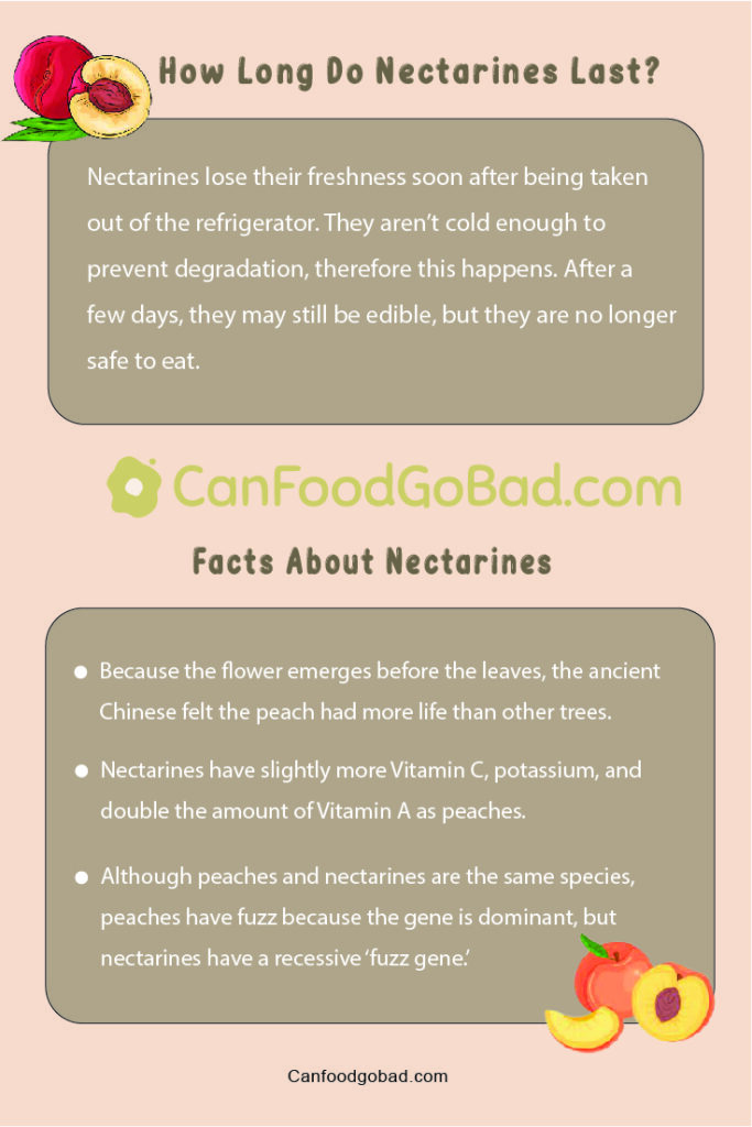 How To Store Nectarines To Keep Them Fresh 5 Intersting Facts to Know