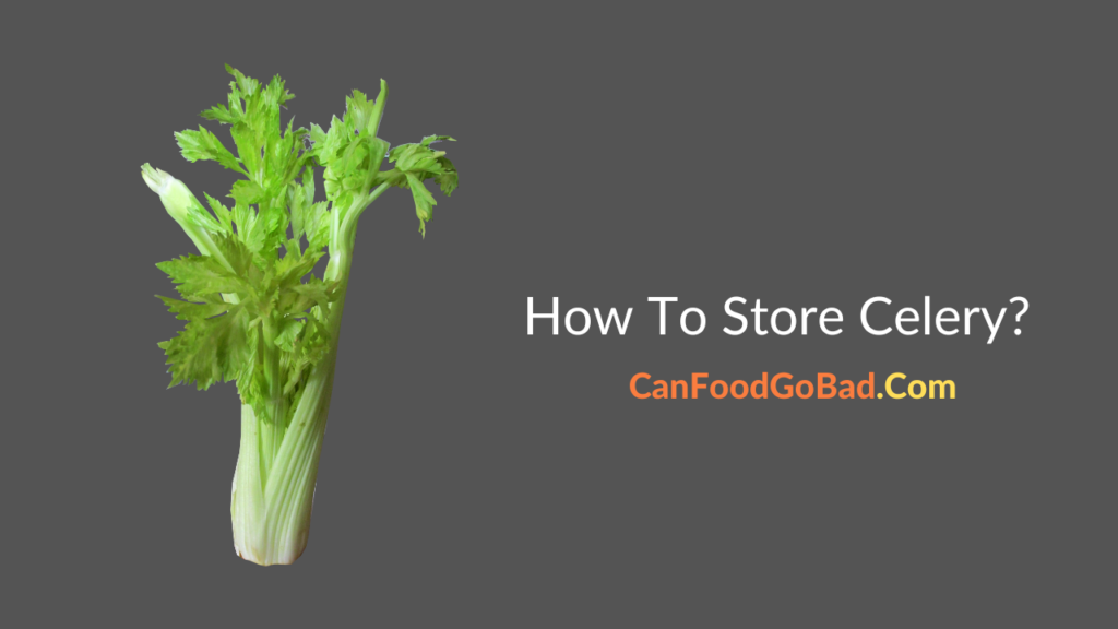 How To Store Celery? From Crisper to Crunch Expert Celery Storage