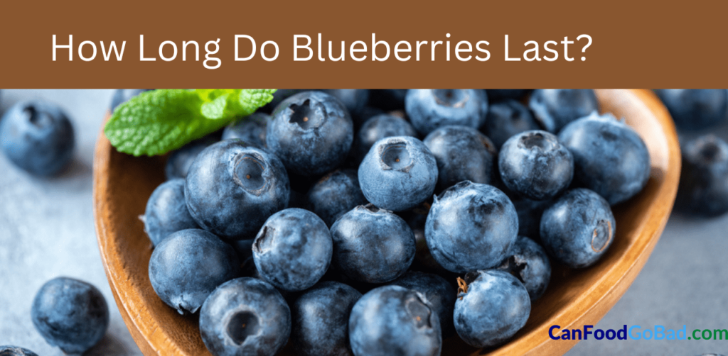 How Long Do Blueberries Last in Fridge? – 5 Tips To Store Blueberries ...