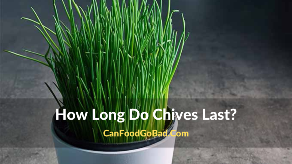 How Long Do Chives Last The Best Possible Way To Store Chives 2024