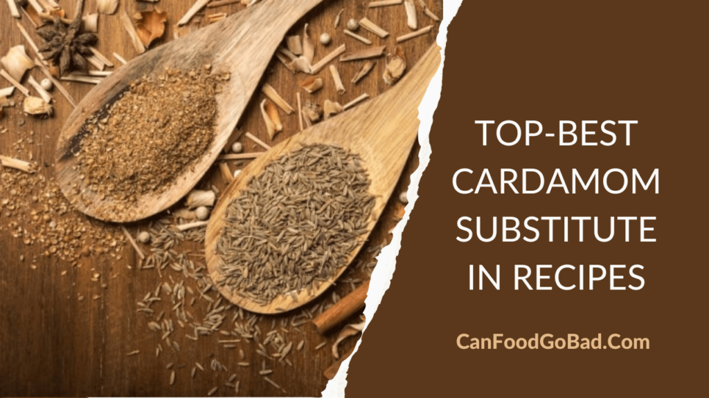 What is the Best Cardamom Substitute? A List of Substitutes for Cardamom You Can Try in