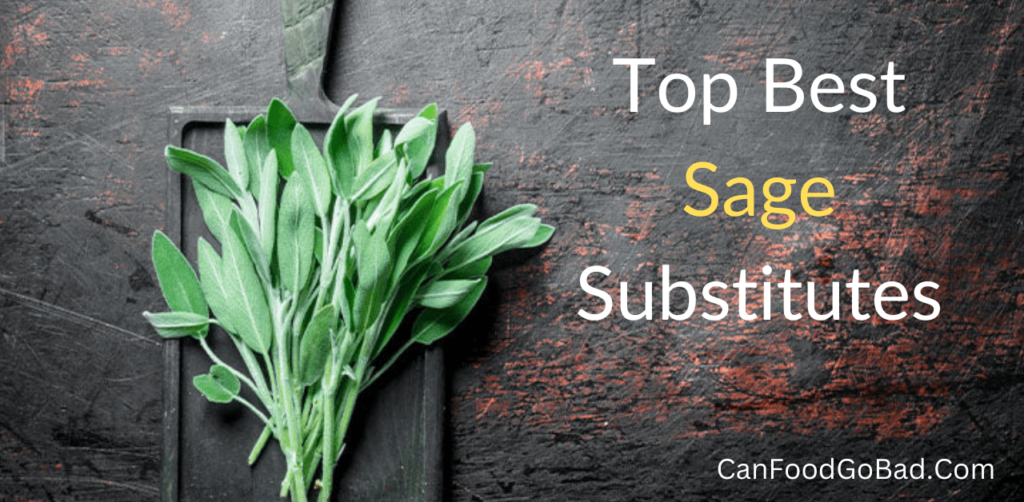 Sage Substitute of Fresh And Dried – 5 Best Perfect Substitutes of Sage ...