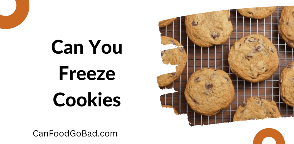 Can You Freeze Cookies? Different Ways To Freeze & Defrost Cookie