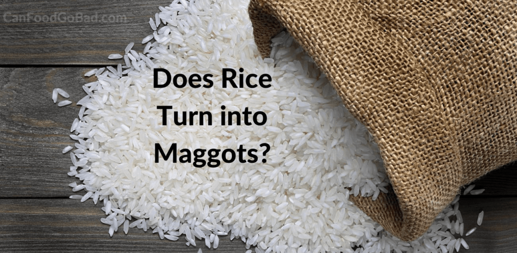 Does Rice Turn into Maggots? Unveiled the Truth Can Food Go Bad